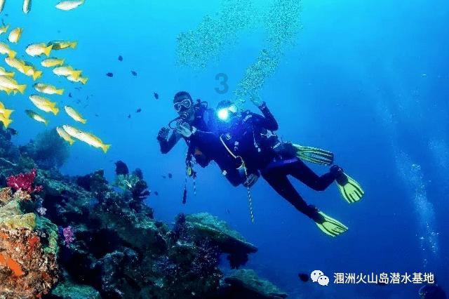 2024年全球经济增长预期上调至3.1％