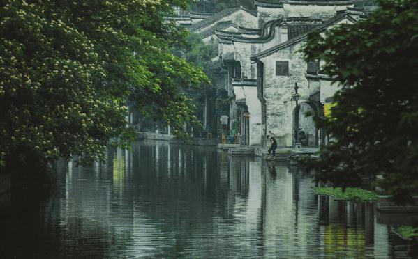 电动牙刷品牌排行前十名:10大精品分享,年度最值!